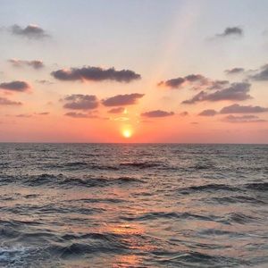 Meet your Posher, Chaya